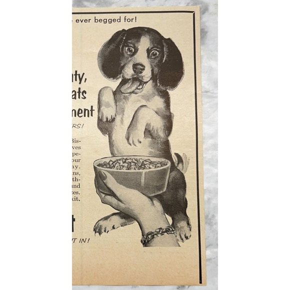 Ken L Biskit Dog Food Vintage Print Ad Beagle Puppy 1955 Hungry Pup - Picture 5 of 6